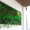 New design customized artificial plant green wall with foliage